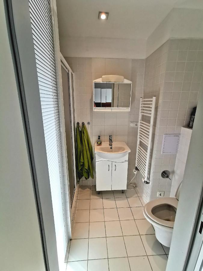 Apartman Mustang Klinovec Loucna pod Klinovcem Ngoại thất bức ảnh